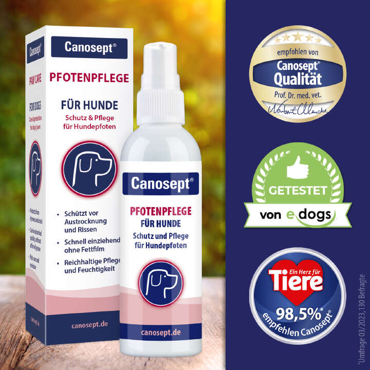 Canosept Pfotenpflege für Hunde 75 g